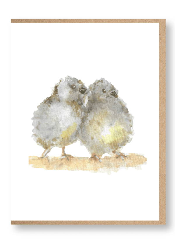 Creatures - Baby Birds