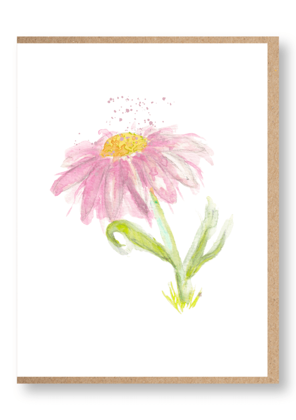 Florals - Pink Daisy