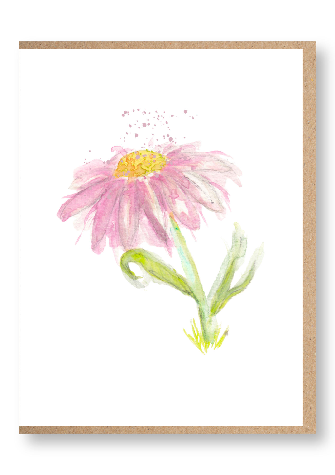 Florals - Pink Daisy - Image 1