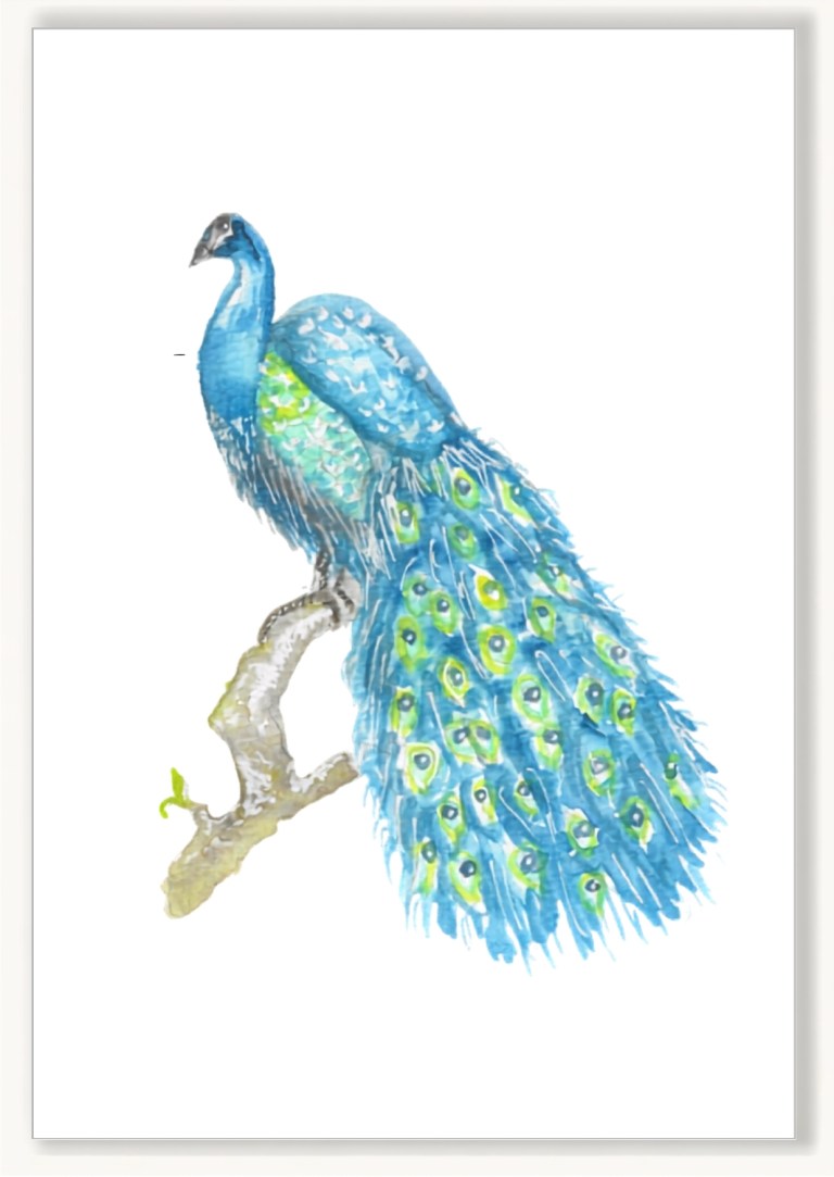 Creatures - Peacock