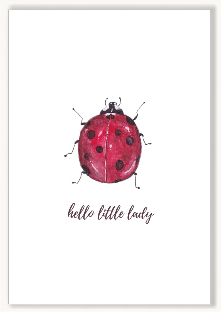 Ladybug
