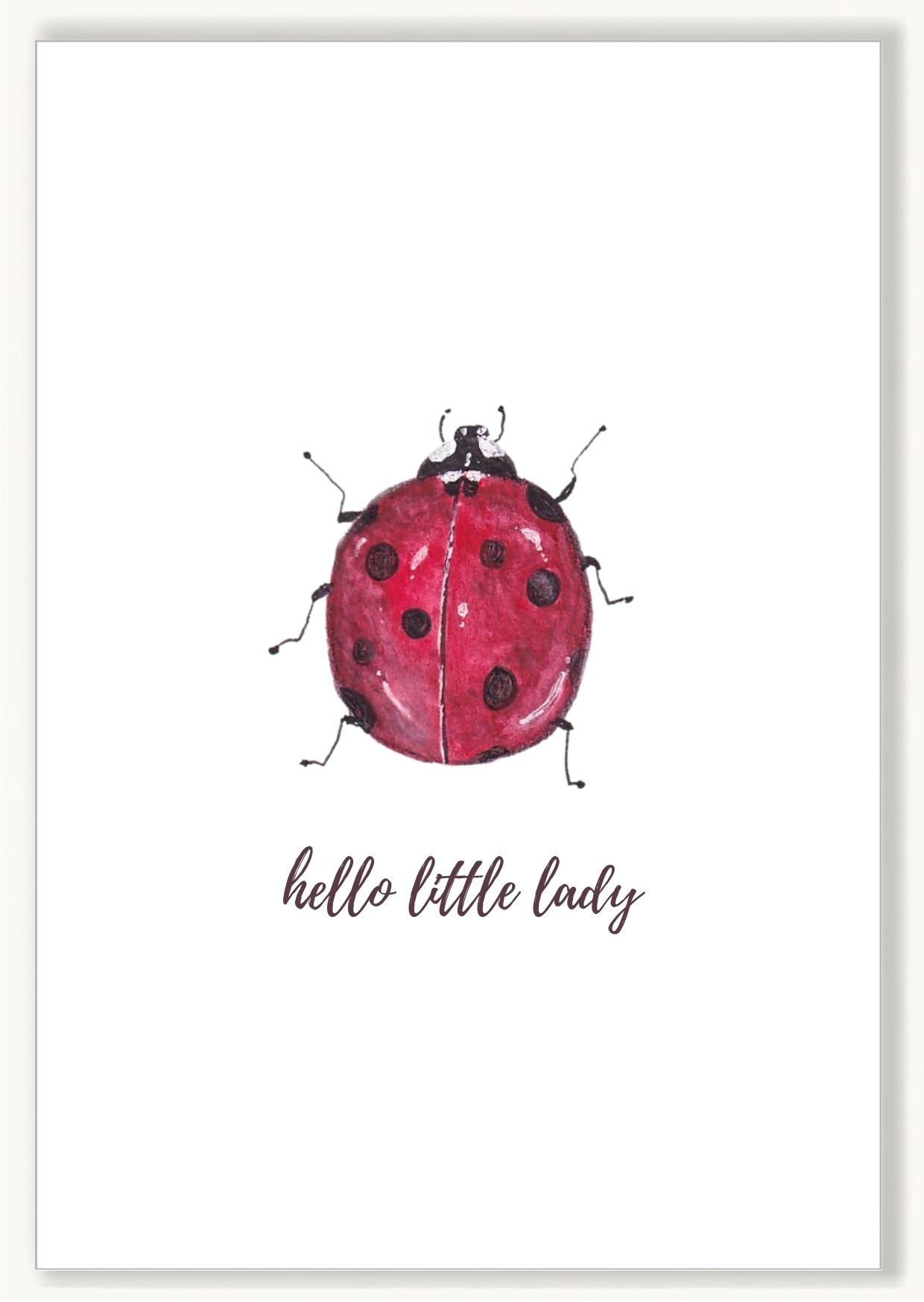 Ladybug - Image 1