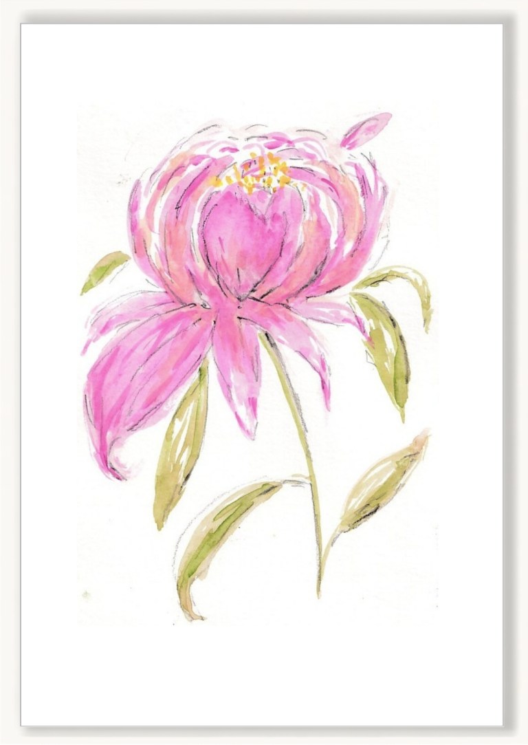 Florals - Fuchsia Peony