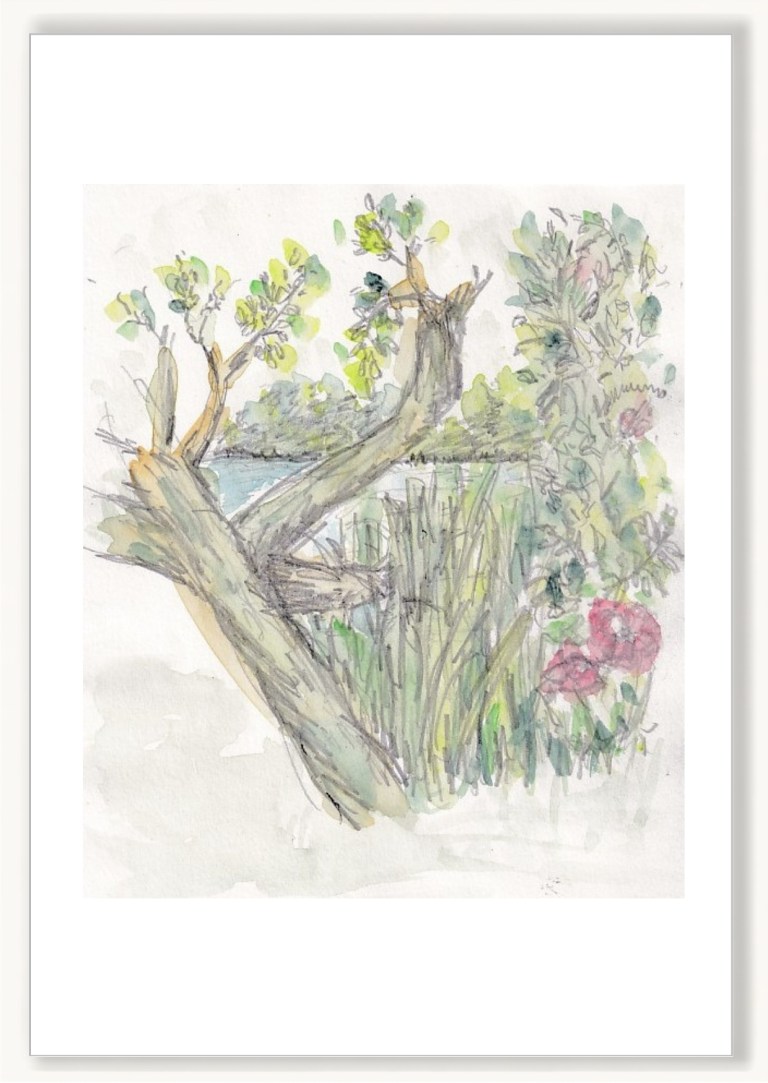 Florals - View Through the Trees