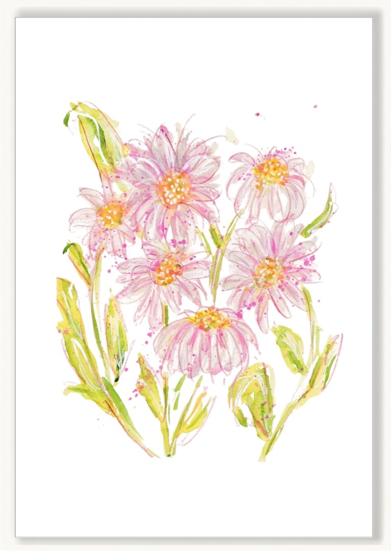 Florals - Field of Daisies