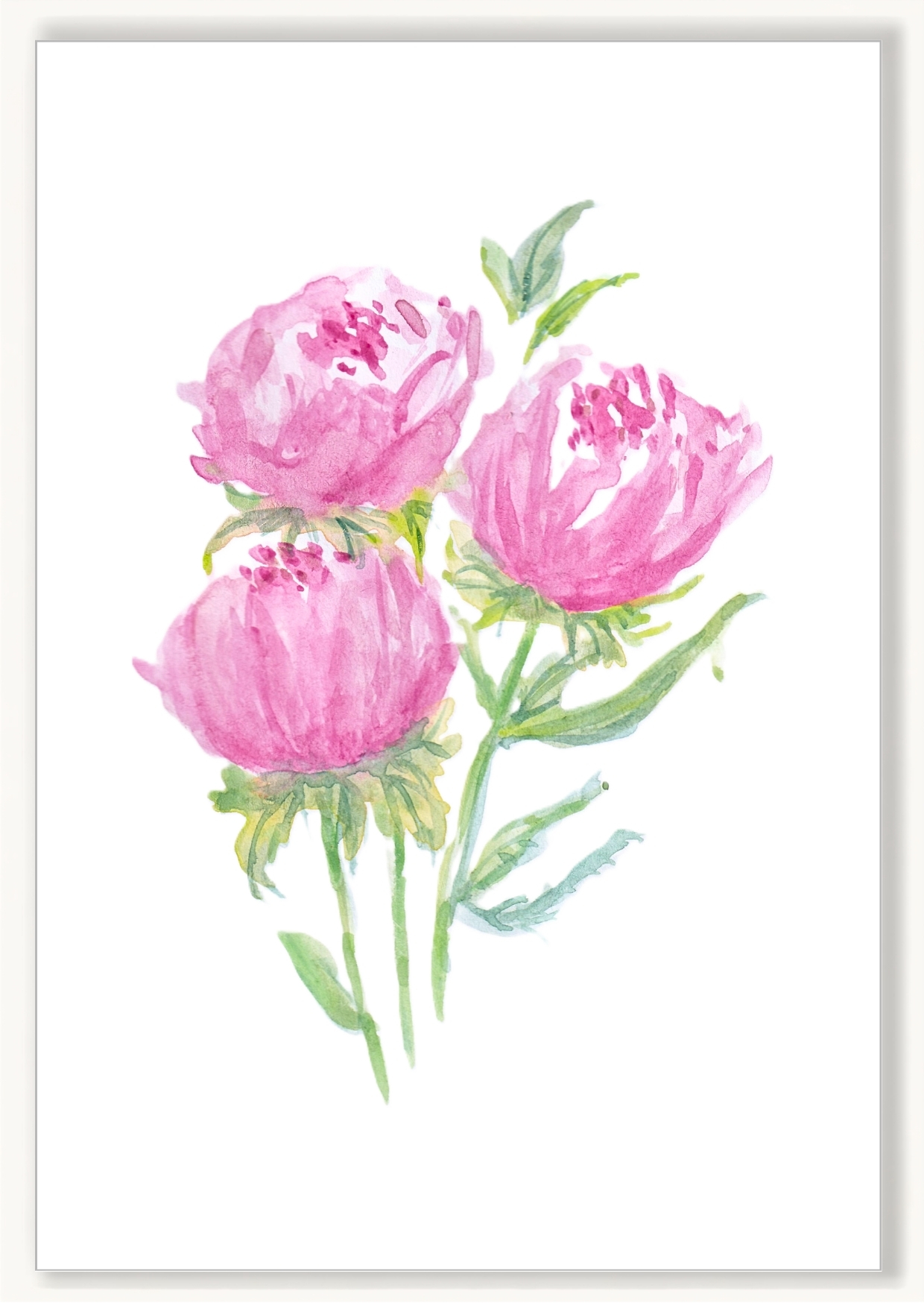 Florals - Peonies - Image 1