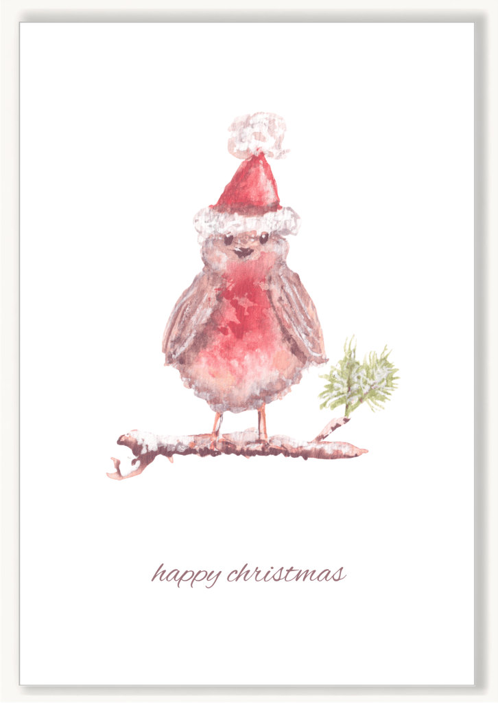 Santa Robin